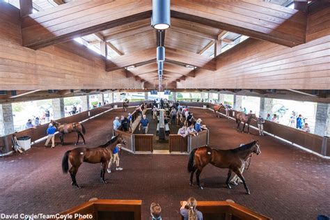 keeneland sales.